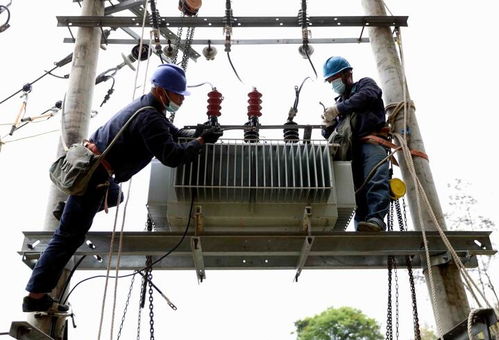 國網福安市供電公司 更換老舊綜配箱，筑牢漁民新村用電安全網