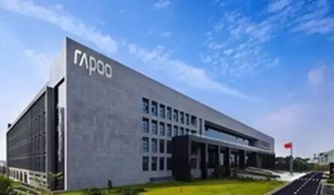 雷柏科技增長率背后的真相 技術咨詢與轉讓的雙輪驅(qū)動