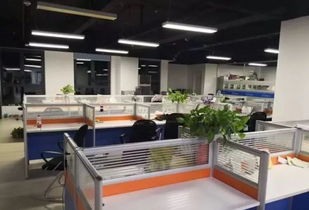 跨界奇遇 土雞蛋、辣條與技術(shù)咨詢的意外碰撞